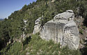 On "Vlho" - main link