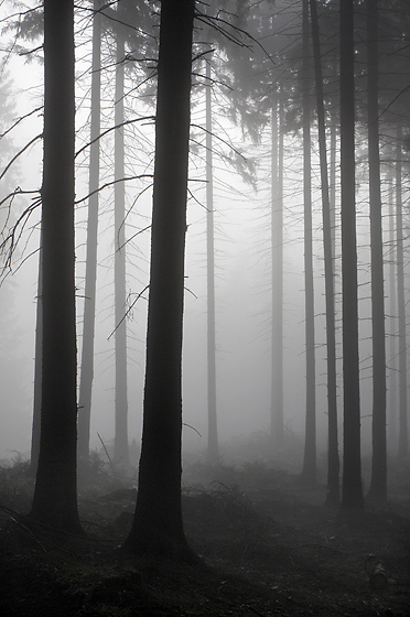 Gray - smaller format