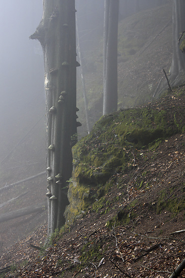 Temple column - smaller format