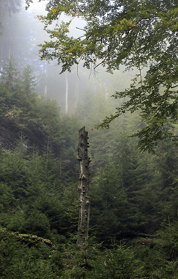 Pillar - smaller format