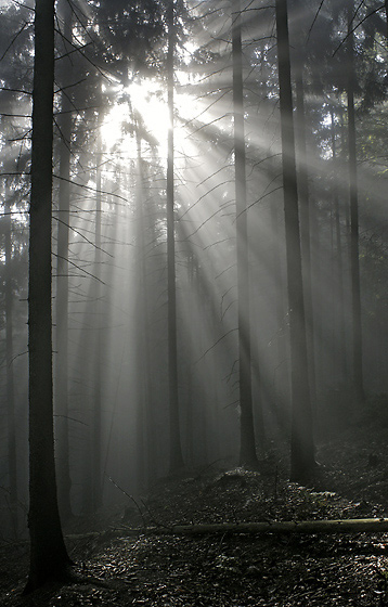Light - smaller format