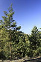 Na skle - hlavn odkaz