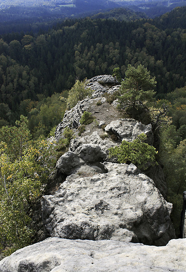 Skaln vbek - men formt