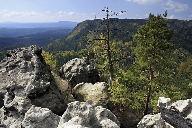 View to west - smaller format