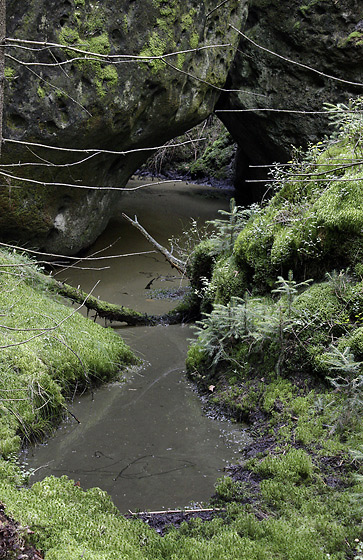 Wallow - smaller format