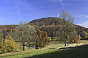 "Little Maple Hill" - main link