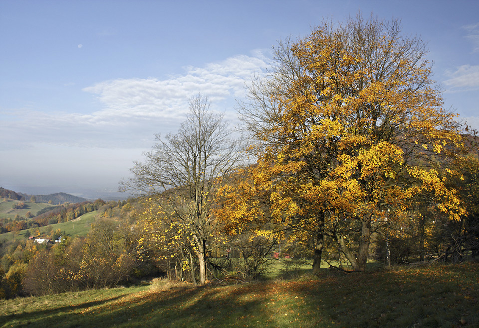 On the "Golden Hill" - larger format