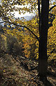 On the "Golden Hill" - main link