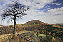 "Little Maple Hill" - main link