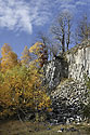 In the former quarry - main link