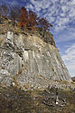 In the former quarry - main link