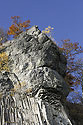 In the former quarry - main link