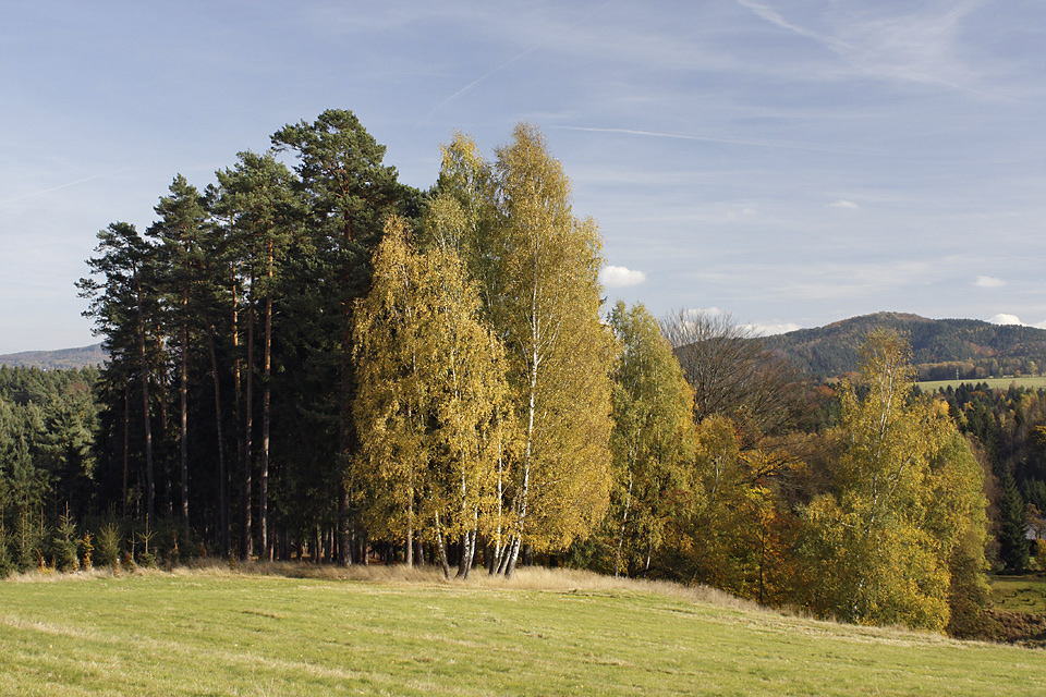 Za Rynarticemi - vt formt