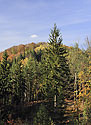 At the "Dry Hill" - main link