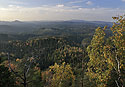 "Hidden Country" - main link