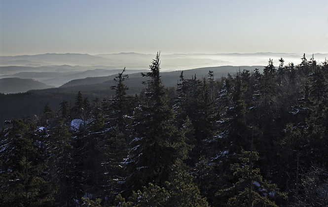 View to east - smaller format