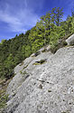 Over the "Chamomile Valley" - main link