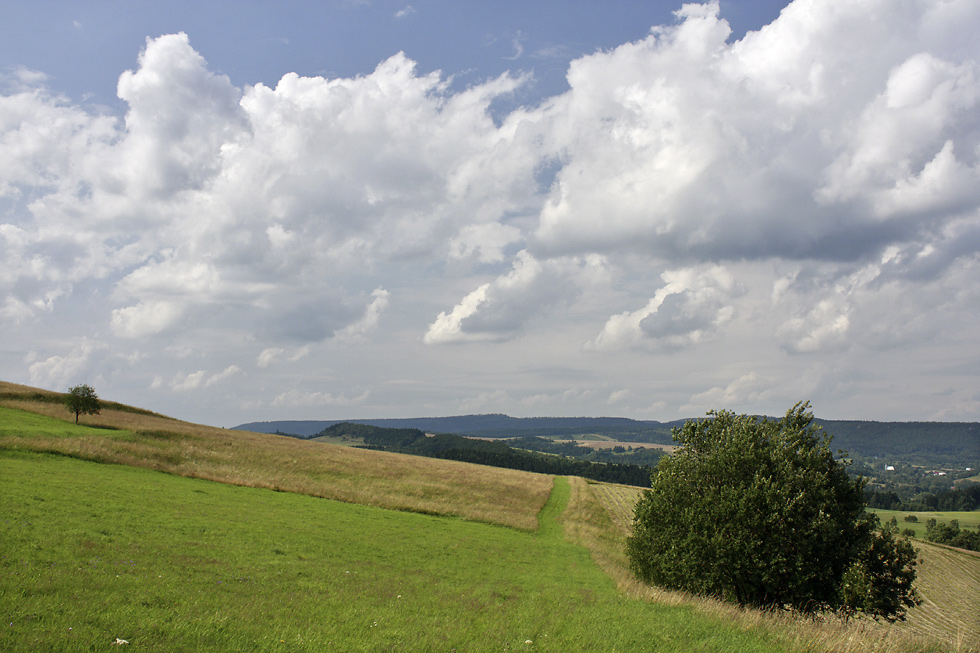 Pohled na sever - vt formt