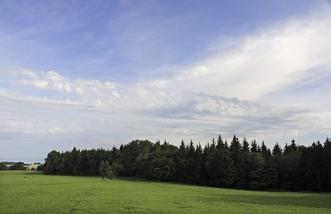 Sky - smaller format