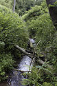 "Ruprechtice Creek" - main link