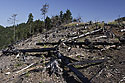 Burnt place - main link
