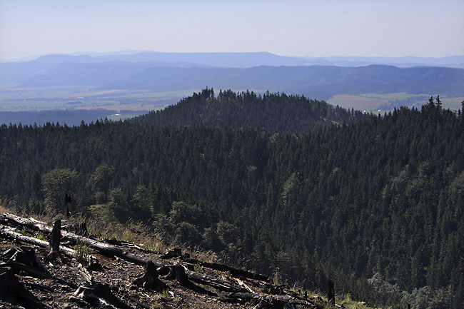 View to south-east - smaller format
