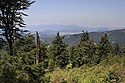 "Giant Mts." - main link