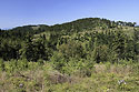 "Wostowa" and "Suchawa" - main link