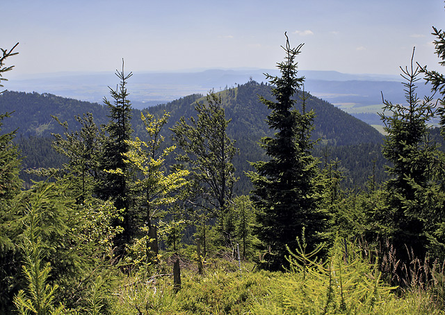 Vistas from "Waligra" - smaller format