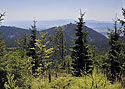 Vistas from "Waligra" - main link