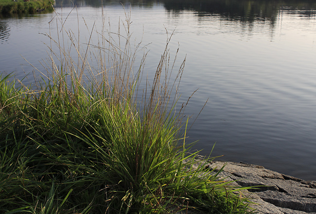 At "Vltava" river - smaller format