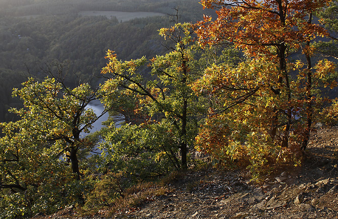 Podzim nad Vltavou - men formt