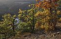 Podzim nad Vltavou - hlavní odkaz