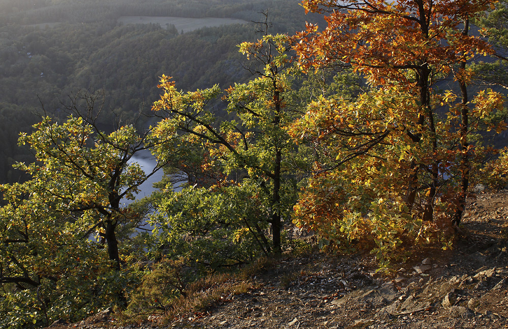 Podzim nad Vltavou - větší formát