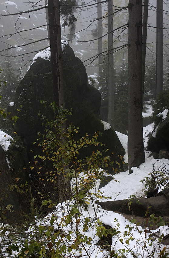 In the gorge - larger format