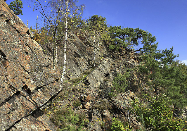 View up - smaller format