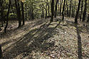 Prehistoric earthwork - main link