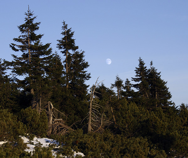 Moon - smaller format