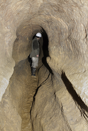 In the cave - smaller format