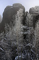 In rocks - main link