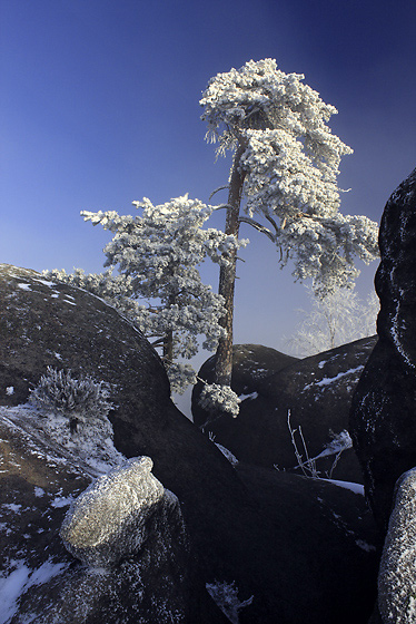 On the rock - smaller format