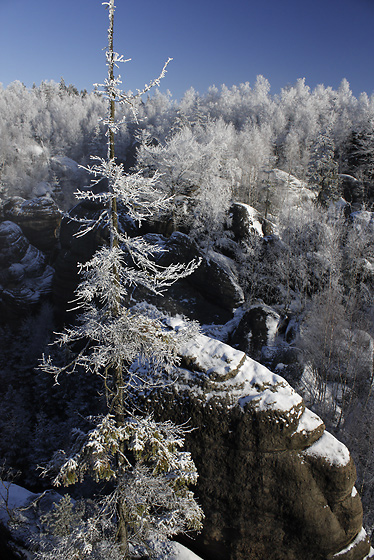 Ve skalch - men formt