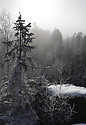 Foggy rocks - main link