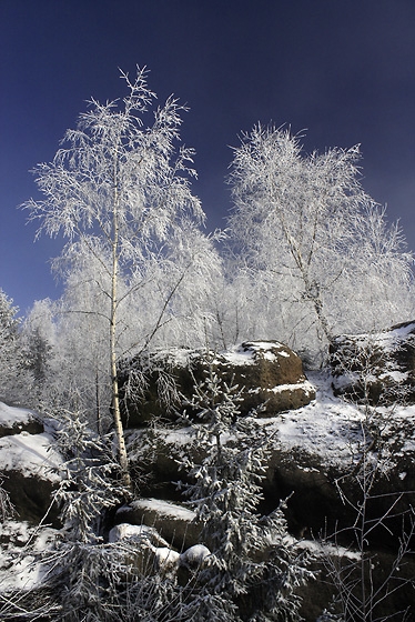 Ve skalch - men formt