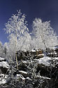 In rocks - main link