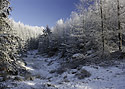Blue and white - main link