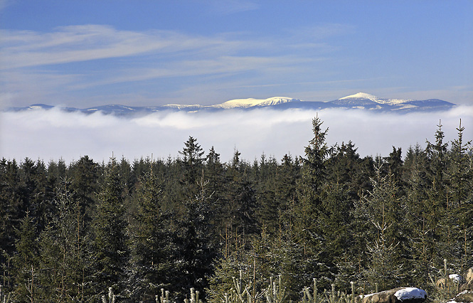 Krkonoe nad mraky - men formt