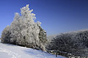 Nad terlenem - hlavn odkaz