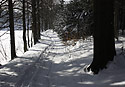 Path - main link