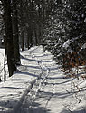 Path - main link